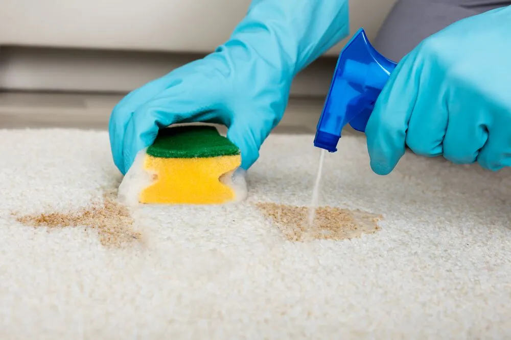 house cleaning, deep cleaning