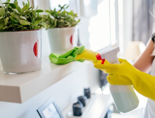 Revitalize Your Living Space: The Top 5 Benefits of Regular House Cleaning