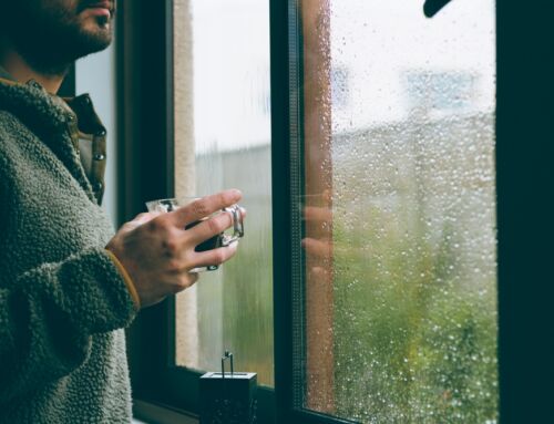 Post-Rain Cleaning Tips for Kansas City Homes